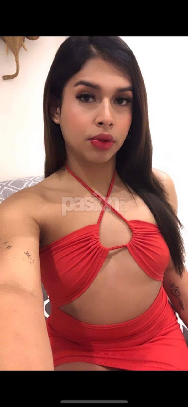 Encantadora, trans, putas Madrid no, escorts Madrid no