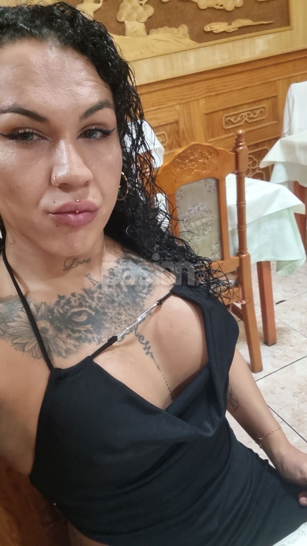 Hola, soy Nicky, una chica trans muy femenina y divertida. Me gusta ser espontánea y simpática. ¿Cómo te va por aquí? Nicky, trans, putas Canarias no, escorts Canarias no