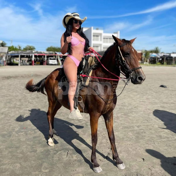 Sofia, mujeres, putas Albacete no, escorts Albacete no